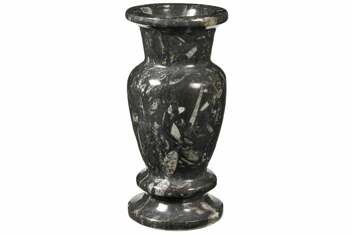 Limestone Vase With Orthoceras Fossils #122448